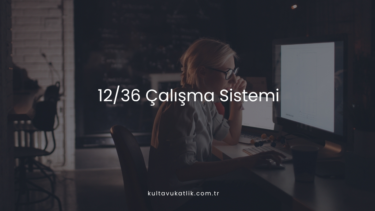 12/36 Çalışma Sistemi